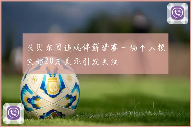 戈贝尔因违规停薪禁赛一场个人损失超20万美元引发关注