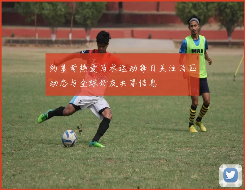 约基奇热爱马术运动每日关注马匹动态与全球好友共享信息