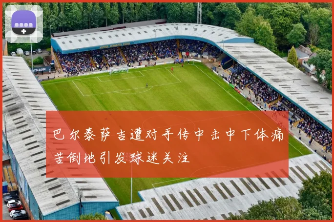 巴尔泰萨吉遭对手传中击中下体痛苦倒地引发球迷关注