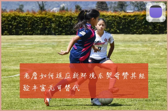 老詹如何适应新环境东契奇赞其经验丰富无可替代