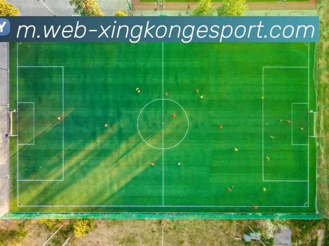 星空电竞平台生态图