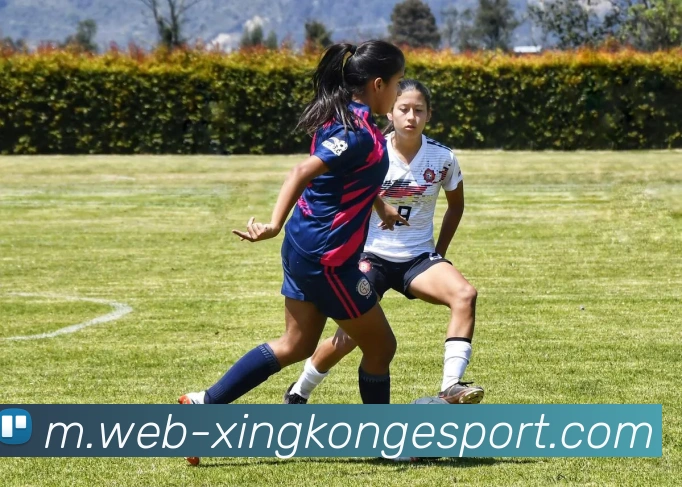 星空电竞APP 封面图